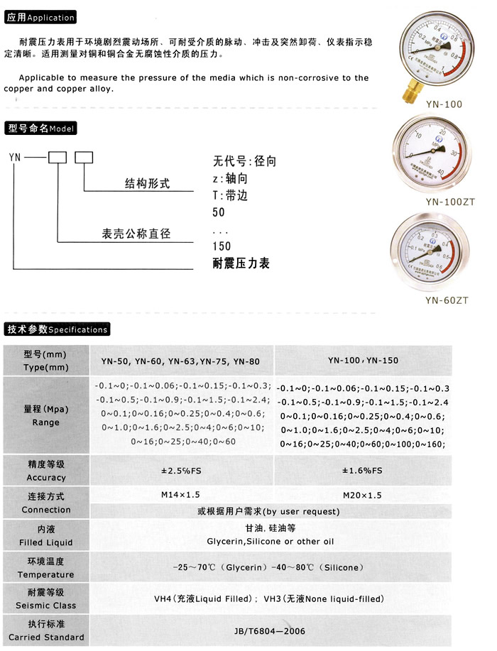 TN/YTN耐震压力表