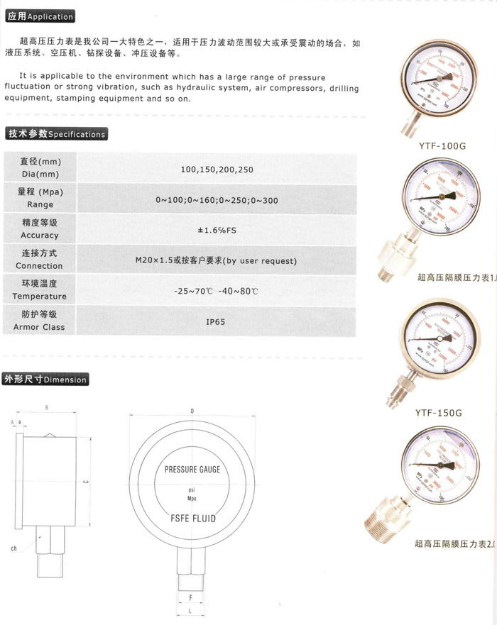 超高温压力表