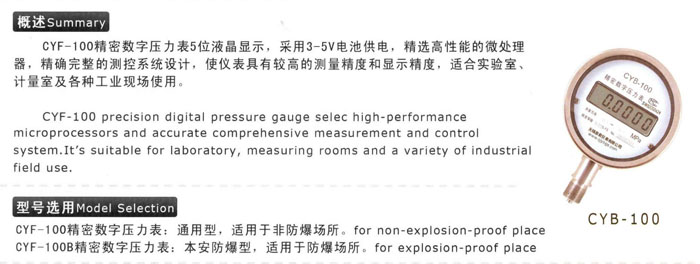 CYB-100精密数字压力表