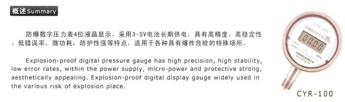 防爆数字压力表